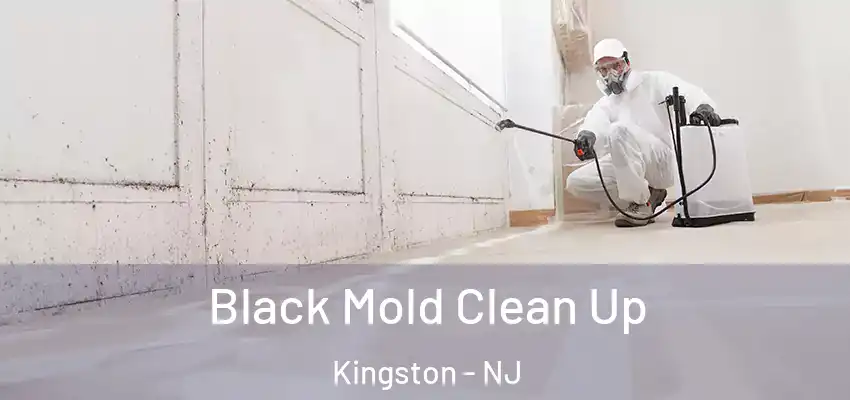 Black Mold Clean Up Kingston - NJ