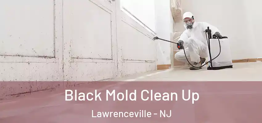 Black Mold Clean Up Lawrenceville - NJ