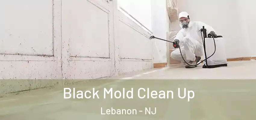  Black Mold Clean Up Lebanon - NJ