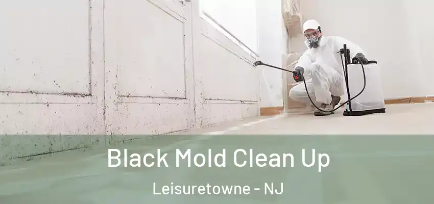 Black Mold Clean Up Leisuretowne - NJ