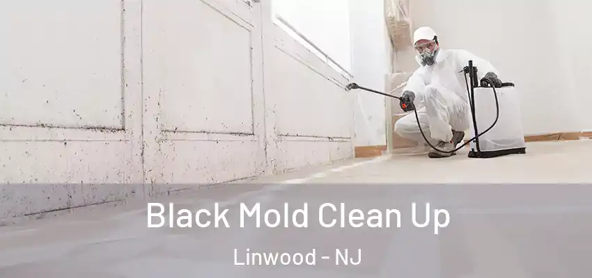 Black Mold Clean Up Linwood - NJ