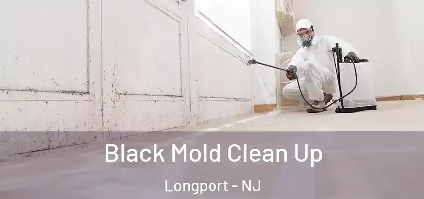  Black Mold Clean Up Longport - NJ