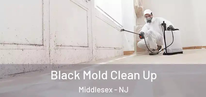  Black Mold Clean Up Middlesex - NJ