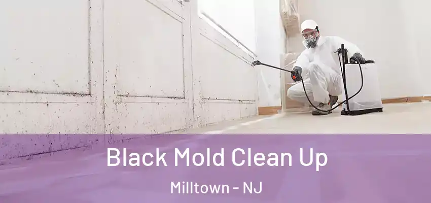 Black Mold Clean Up Milltown - NJ