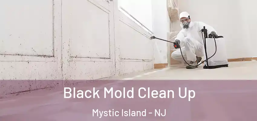 Black Mold Clean Up Mystic Island - NJ