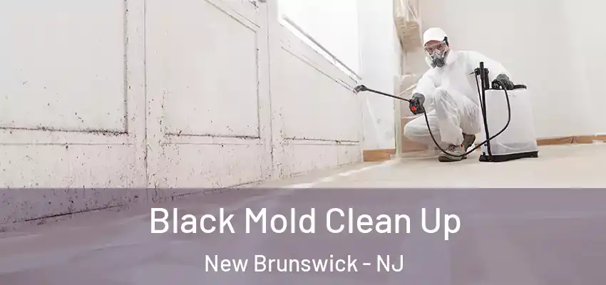 Black Mold Clean Up New Brunswick - NJ
