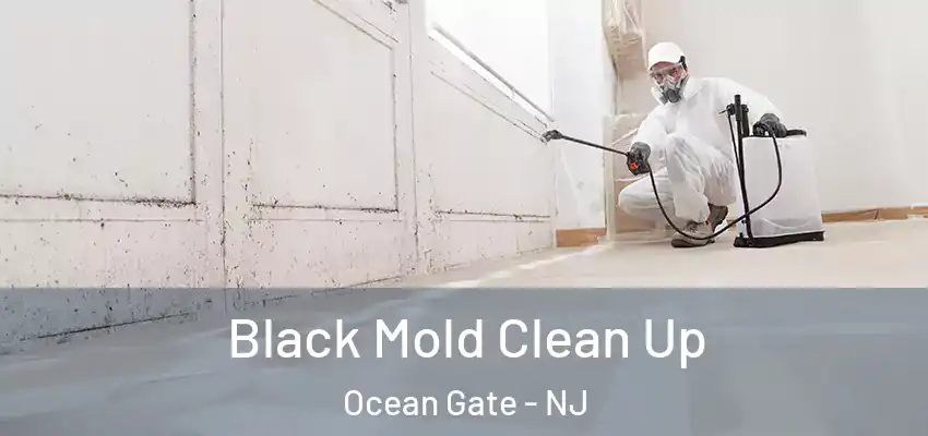 Black Mold Clean Up Ocean Gate - NJ