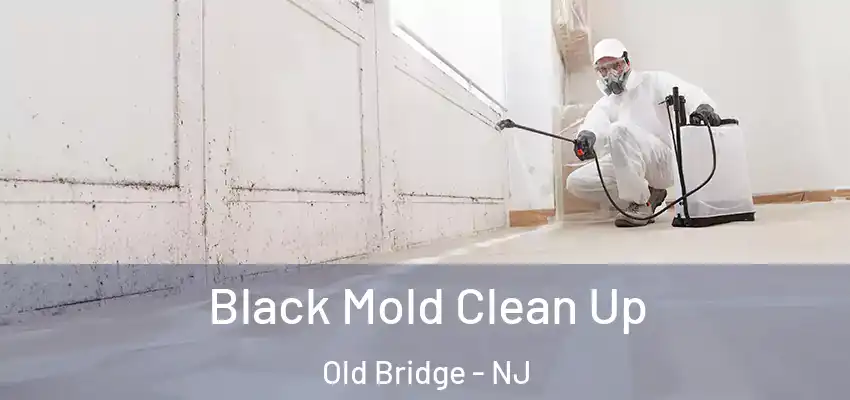 Black Mold Clean Up Old Bridge - NJ