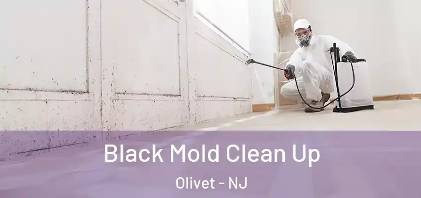 Black Mold Clean Up Olivet - NJ