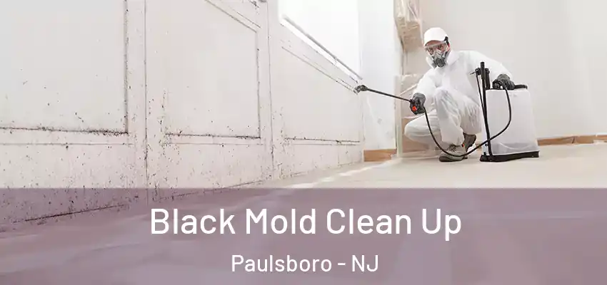 Black Mold Clean Up Paulsboro - NJ