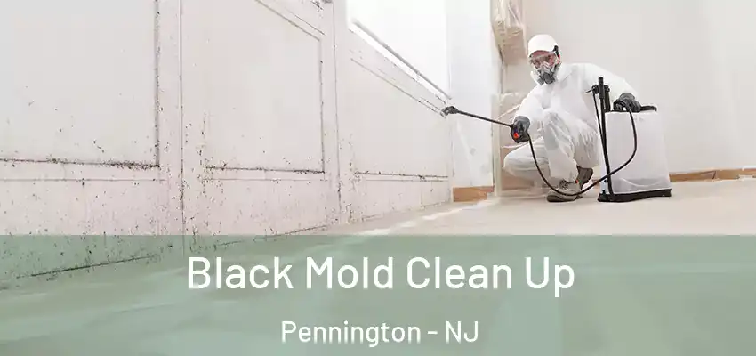 Black Mold Clean Up Pennington - NJ