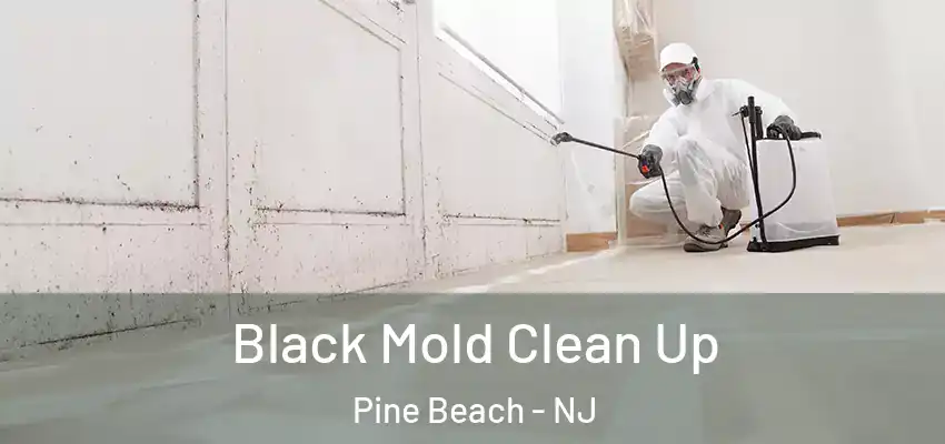  Black Mold Clean Up Pine Beach - NJ