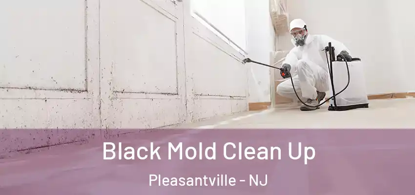  Black Mold Clean Up Pleasantville - NJ