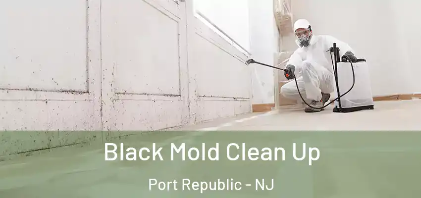 Black Mold Clean Up Port Republic - NJ