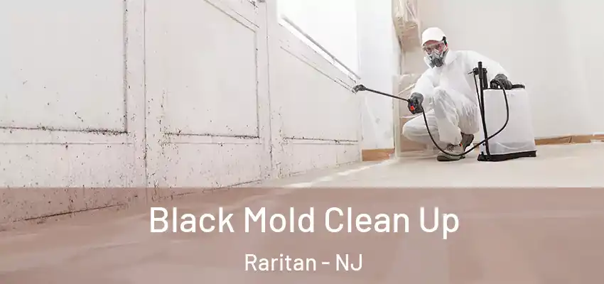 Black Mold Clean Up Raritan - NJ