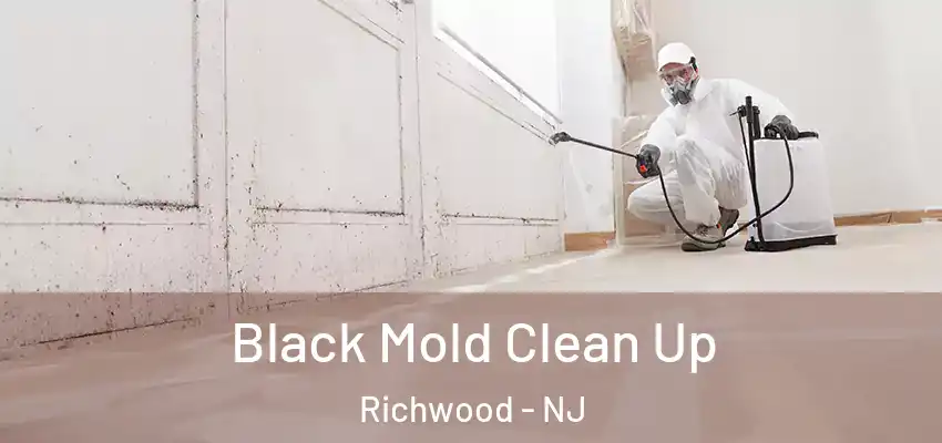  Black Mold Clean Up Richwood - NJ