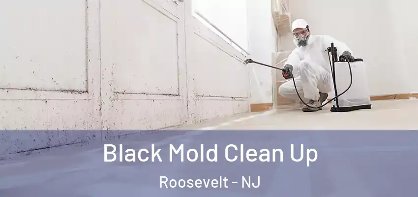 Black Mold Clean Up Roosevelt - NJ