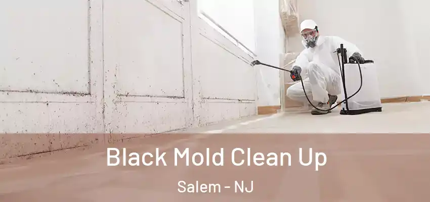 Black Mold Clean Up Salem - NJ