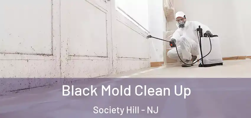 Black Mold Clean Up Society Hill - NJ