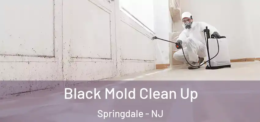 Black Mold Clean Up Springdale - NJ