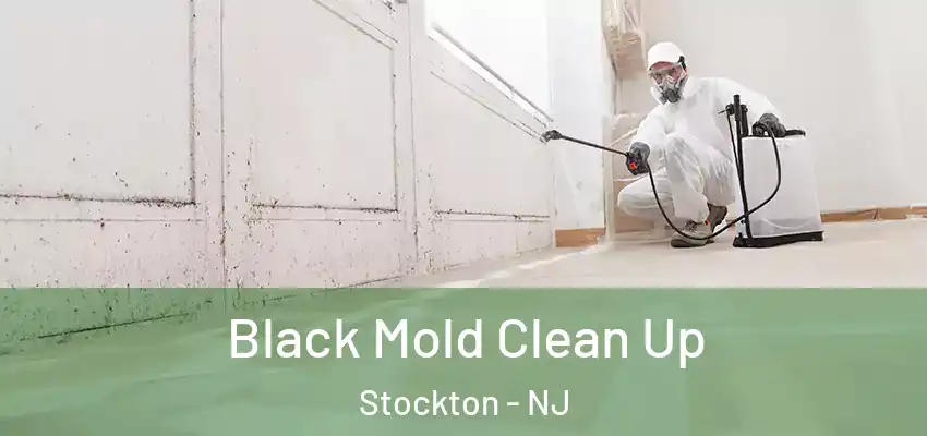 Black Mold Clean Up Stockton - NJ
