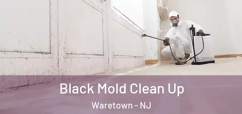  Black Mold Clean Up Waretown - NJ