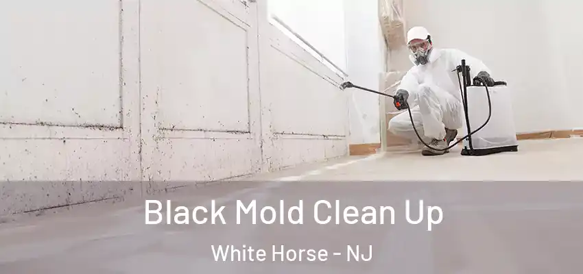 Black Mold Clean Up White Horse - NJ