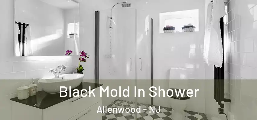 Black Mold In Shower Allenwood - NJ