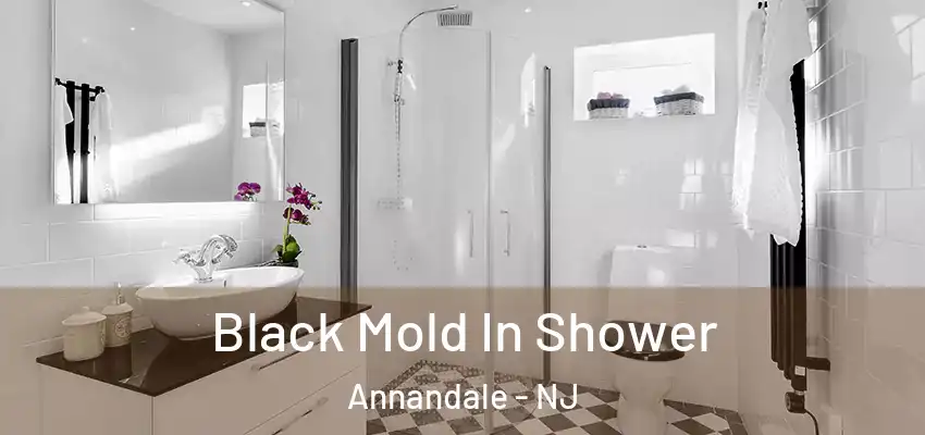 Black Mold In Shower Annandale - NJ