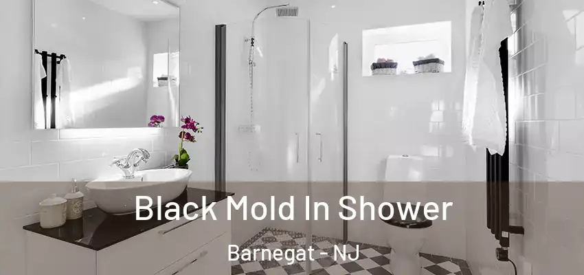 Black Mold In Shower Barnegat - NJ