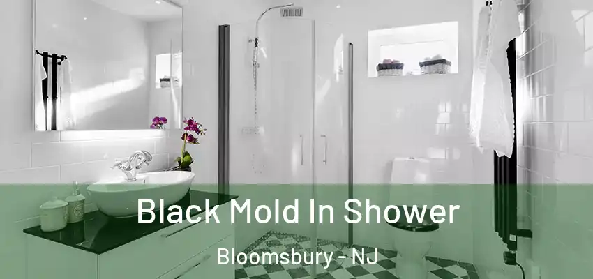 Black Mold In Shower Bloomsbury - NJ