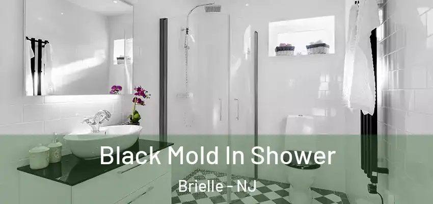 Black Mold In Shower Brielle - NJ