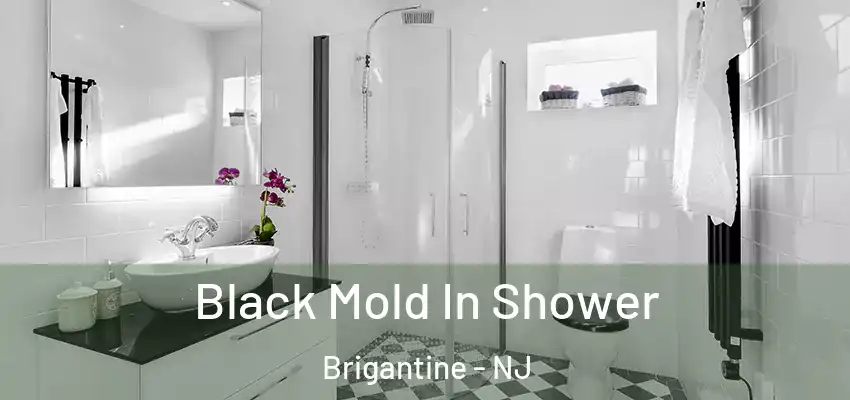 Black Mold In Shower Brigantine - NJ