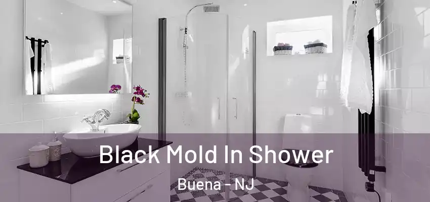  Black Mold In Shower Buena - NJ