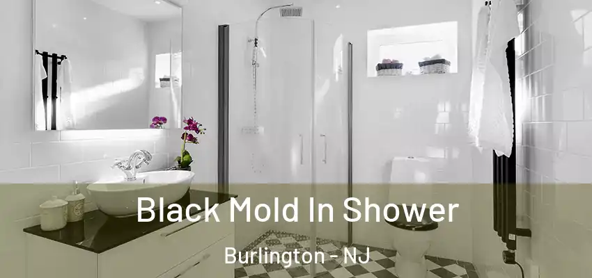 Black Mold In Shower Burlington - NJ