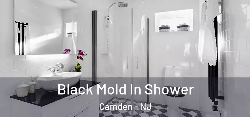 Black Mold In Shower Camden - NJ