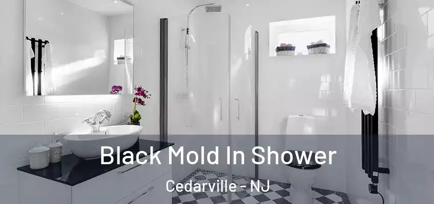 Black Mold In Shower Cedarville - NJ