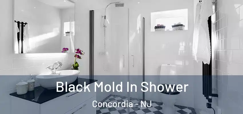 Black Mold In Shower Concordia - NJ