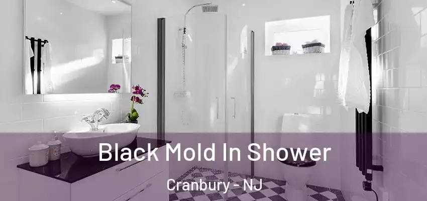 Black Mold In Shower Cranbury - NJ
