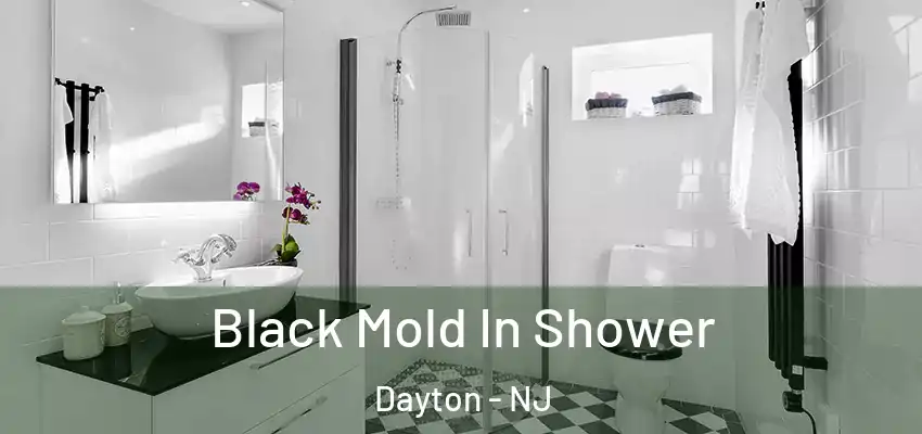 Black Mold In Shower Dayton - NJ