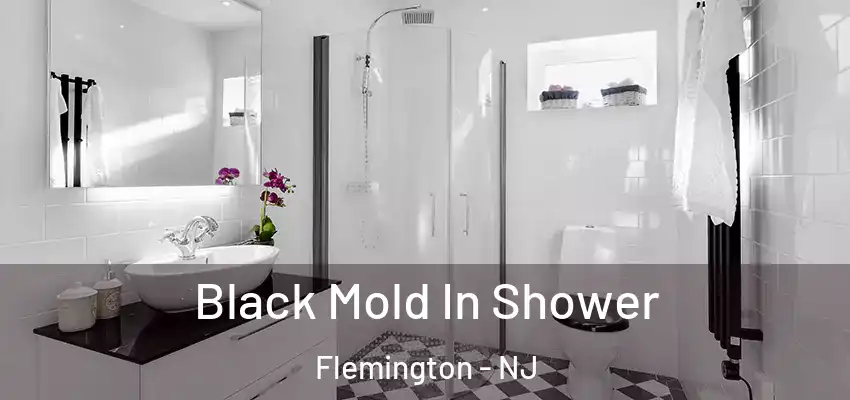 Black Mold In Shower Flemington - NJ