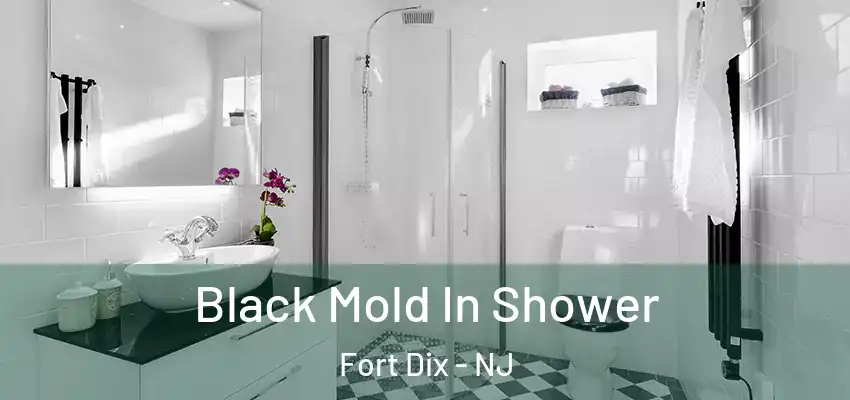  Black Mold In Shower Fort Dix - NJ