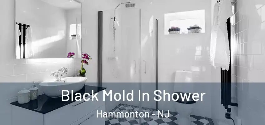 Black Mold In Shower Hammonton - NJ