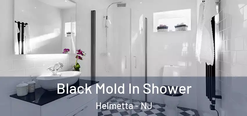 Black Mold In Shower Helmetta - NJ