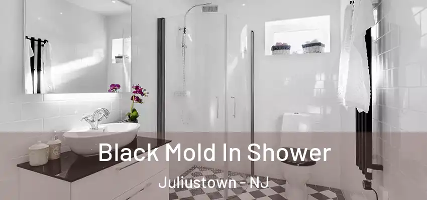 Black Mold In Shower Juliustown - NJ
