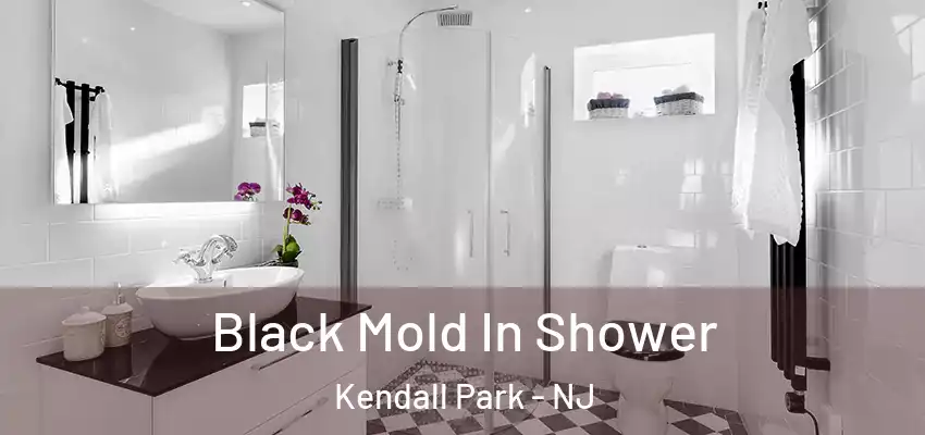 Black Mold In Shower Kendall Park - NJ