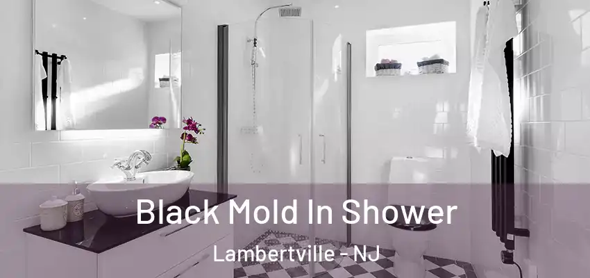 Black Mold In Shower Lambertville - NJ