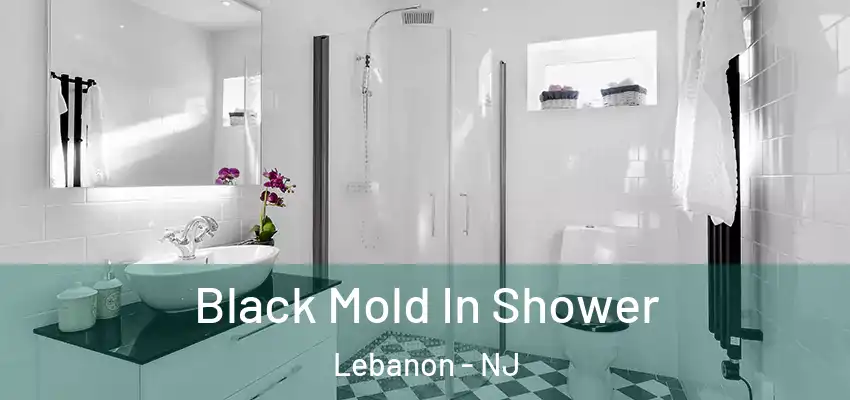  Black Mold In Shower Lebanon - NJ