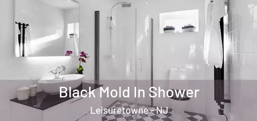 Black Mold In Shower Leisuretowne - NJ