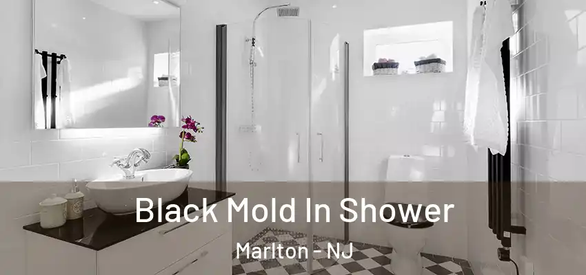 Black Mold In Shower Marlton - NJ